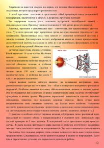 5 Офтальмолог 2